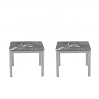 Table basse moderne de style 2026, nouvelle conception, gain de place, ensemble de 2 tables basses pour l'exposition d'objets décoratifs, de cadres photo ou de plantes en pot