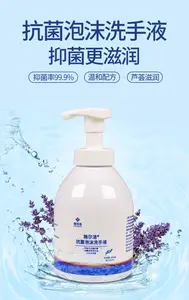 High Quality Wholesale Antibacterial 99.9% Disinfecting Rate Rich Foam Hand Wash Hand Sanitizer