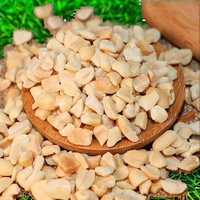 Cacahuètes concassées de qualité alimentaire, miettes de cacahuètes grillées pour la pâtisserie, desserts, crèmes glacées, matière première en vrac