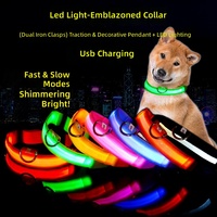 Collier pour chien lumineux à LED, rechargeable par USB, en maille, réfléchissant, pour l'entraînement et les promenades nocturnes