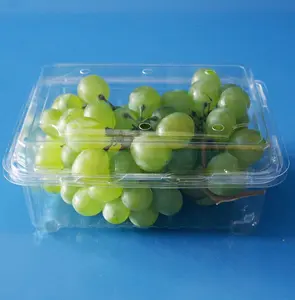 Wadah berengsel kustom 125g kotak cangkang plastik kemasan murah untuk sayuran buah