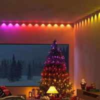 Luces Pixel para Navidad, Luces Decorativas Coloridas para el Exterior de la Casa, Lámpara Impermeable, Luces LED Pixel Permanentes para el Alero