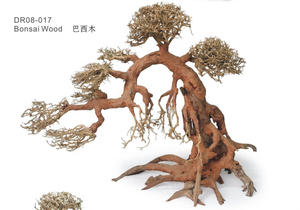 Grand Aquarium Bonsaï Bois Flotté - Product Image 2