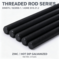 DIN975 ISO898-1 ASME B18.31.2 Metric Threaded Rod, Zinc & Hot Dip Galvanized Full Thread Stud for Industrial Fastening