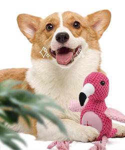 OEM ODM Birthday Gift Squeaky Chew Dog Cute Animal <strong>Parrot</strong> Soft Plush <strong>Toy</strong> Teething Cotton Plush Dog <strong>Toys</strong> Custom logo Color - Product Image 4