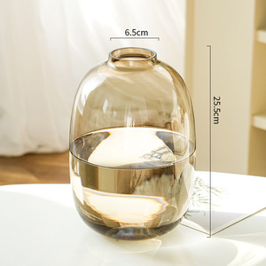 Vaso per Fiori Decorazione Casa, Vaso in Vetro Trasparente di Alta Qualità per Arredamento Soggiorno - Product Image 6