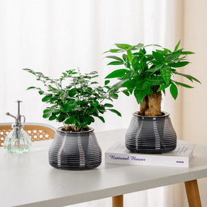 Pot <span class=keywords><strong>de</strong></span> fleurs <span class=keywords><strong>en</strong></span> plastique Meixuan, auto-absorbant, respirant, à transmission <span class=keywords><strong>de</strong></span> lumière, durable, pour la <span class=keywords><strong>culture</strong></span> hydroponique et le jardinage à domicile - Product Image 4