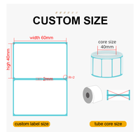 Rouleau d'étiquettes adhésives transparentes en PET pour transfert thermique, transparentes, 100x50, 100x60, 100x70, 100x80, 100x100, 100x150 mm, 4x6 pouces