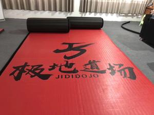 Lyqueen-esteras de gimnasia <span class=keywords><strong>taishan</strong></span>, esteras de lucha de 10x10 pies, esteras de esponja para gimnasia - Product Image 6