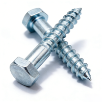 Vis autotaraudeuses à tête hexagonale métriques ASME B 18.6.4 en acier au carbone, finition zinguée, oxyde noir, classe 4.8 6.8, non standard