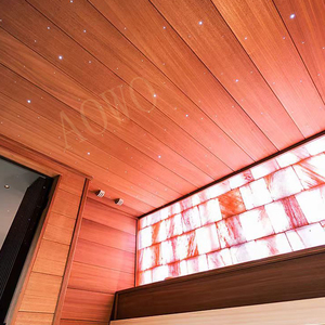 Salles de sauna infrarouge Spa préfabriqué Chambre d'halothérapie Wasmo Relax Sauna Douche Thérapie par la lumière rouge Sauna Vue sur la mer - Product Image 3