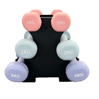Juego de Mancuernas de Neopreno con Logotipo Personalizado, Diseño Hexagonal, Pesas de Hierro Fundido con Diversas Opciones de Color, Pesas de Pilates Grises