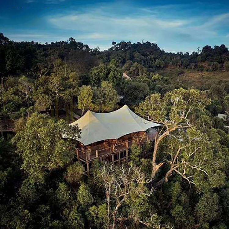 สีเบจ/กำหนดเอง