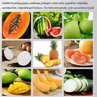 Commerciële appel-peer-kiwi-mango-citroen fruit schilmachine voor mango-ananas