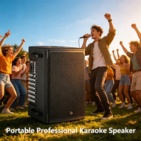 Système de sonorisation portable sans fil professionnel 10 pouces avec haut-parleur PA néodyme 300W pour karaoké, extérieur, guitare, busking et événements en direct