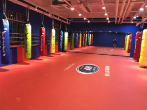 운동 롤아웃 매트, 무술 매트, 레슬링용 롤업 매트 MMA 유도 JiuJitsu Bjj 그래플링 - Product Image 4