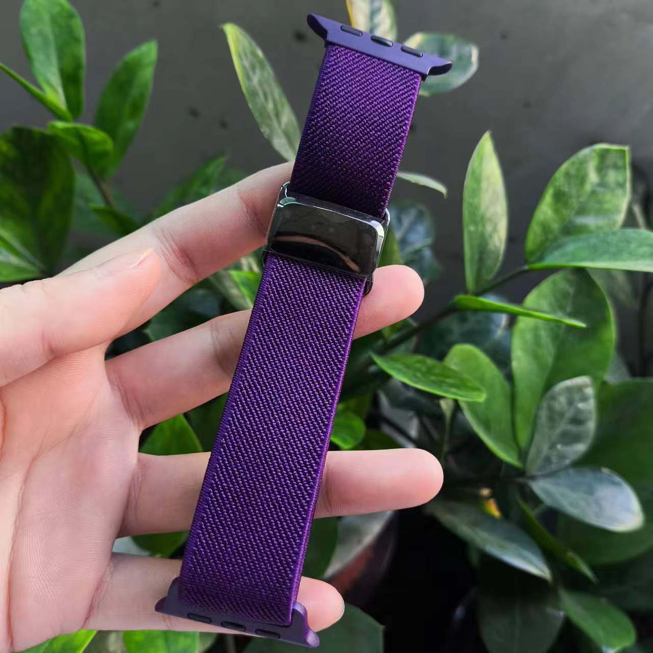 violet foncé