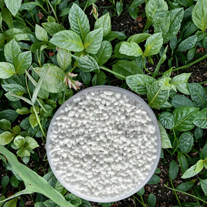 50 ק "ג אמוניום גרנולרי סולפט (nh4) 2 s4 עשיר חנקן עשיר עבור בריאות יבול לשיפור קרקע - Product Image 1
