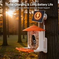 Mangeoire à oiseaux solaire OEM avec reconnaissance IA des oiseaux, caméra HD 3MP, vision nocturne couleur, dissuasion des écureuils et contrôle par application
