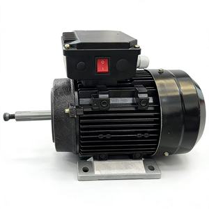 Motor eléctrico asíncrono monofásico de 0.55kw, 4 polos, 80 marcos, personalizado para el mercado turco, motor para bomba de leche con interruptor de encendido/apagado - Product Image 1