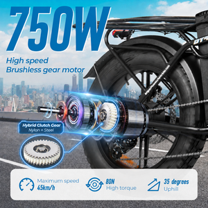 จักรยานไฟฟ้าล้อโต 20x4 รุ่นท็อป 48V 50Ah ความจุขนาดใหญ่ กำลังไฟ 750W รุ่นสั่งทำพิเศษสำหรับพนักงานส่งของ DT450 จักรยานสั่งทำพิเศษ DT450 - Product Image 3