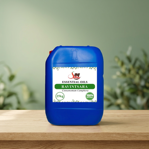 Aceites Esenciales de Ravintsara 100% Puros Líquidos, Bidón de 25 kg, FOB Puerto de Madagascar, Plazo de Entrega Rápido, 3 Años de Vida Útil, Venta al por Mayor - Product Image 4