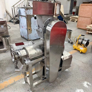 Gran oferta de México, exprimidor de frutas, máquina extractora de jugo de tornillo de mango de jengibre/exprimidor de jengibre de gran capacidad con función de trituración - Product Image 2