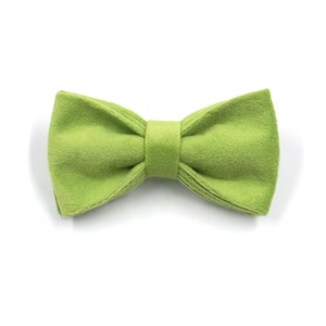 Collare per cani in morbido velluto verde con fibbia dorata collare per cani con etichetta privata con logo personalizzato guinzaglio per collare di cane di lusso per grande papillon - Product Image 6