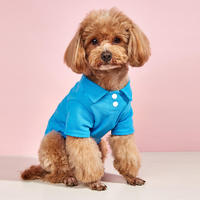 Vêtements pour animaux de compagnie en polyester personnalisés, accessoires pour chiens, t-shirts pour chats, polos pour animaux de compagnie, best-seller