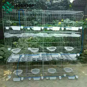 Batteria commerciali di quaglia chioccia gabbia - Product Image 5