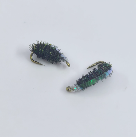 Mouche à dos coloré noir