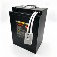 Batterie au lithium LiFePO4 à semi-conducteurs 51,2 V 48 V 60 V 72 V 80 Ah 25 Ah 30 Ah 50 Ah avec 6000 cycles pour moto/cyclomoteur électrique