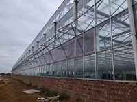 Serres en verre industrielles de style Wenluo avec systèmes de refroidissement entièrement automatisés