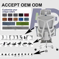 Chaise de bureau ergonomique avec support lombaire pour un espace de travail moderne, chaise de bureau en maille, chaise de direction réglable