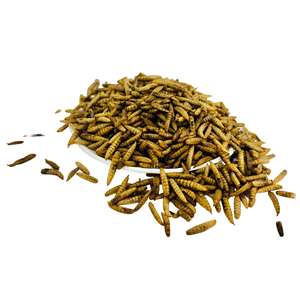 Larves de Mouches Soldat Noires Séchées en Vrac de Qualité Alimentaire 100% Naturelles – Aliment Sain et Durable pour Oiseaux - Product Image 5