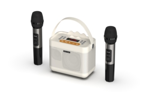 2 kablosuz mikrofon ile taşınabilir Bluetooth <span class=keywords><strong>Karaoke</strong></span> hoparlörü, parti şarkı ve eğlence için ev aile KTV sistemi