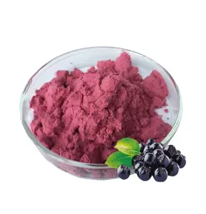Factory Directly Provide Aronia Chokeberry Extract Powder Juice Powder Best Price for drinking