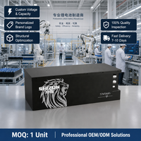 Batterie LiFePO4 liquide Shizun Deep Cycle 72V54AH avec protection BMS complète, 3000 cycles, sortie stable, anti-explosion