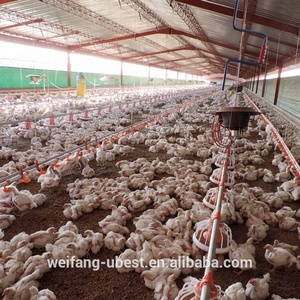 โรงเรือนเลี้ยงไก่แบบอัตโนมัติ U-best รุ่นใหม่ <span class=keywords><strong>แบบ</strong></span>พื้นเหล็ก - Product Image 2