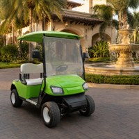Carrito de Golf para 2 Pasajeros, Neumático 205/50-10, Vehículo Eléctrico de 60V para Turismo, Transporte en Resorts y Campos de Golf, Color Personalizado OEM