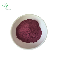 Puur Natuurlijke Zwarte Aronia Appelbes Fruitpoeder