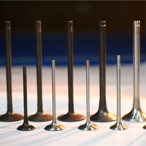 EA888 1.8 FSI <span class=keywords><strong>2</strong></span>.0 FSI Q5 <span class=keywords><strong>2</strong></span>.0 C6 <span class=keywords><strong>2</strong></span>.8 C7 <span class=keywords><strong>2</strong></span>.0 C5 <span class=keywords><strong>2</strong></span>.4 C5 <span class=keywords><strong>2</strong></span>.8 EA111 1.2T 1.4 1.4 1.4T EA211 1.2T 1.4 1.4 T1.5 Geschmiedete Motor ventil fabrik - Product Image 1