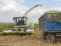 Machines agricoles chinoises, moissonneuse-batteuse combinée de riz et de blé, récolte de canne à sucre