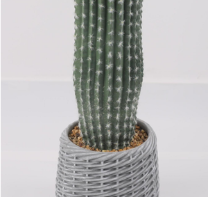 <span class=keywords><strong>Colonne</strong></span> de <span class=keywords><strong>cactus</strong></span> artificielle super grande pour café décoration d'intérieur paysage de plantes de sable - Product Image 5