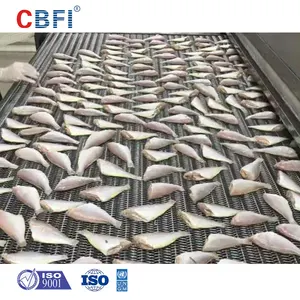 Congélateur rapide individuel IQF 100 kg par heure congélateur rapide sardines iqf congélateur rapide