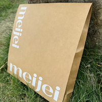 MOQ 100 pièces, sac en papier personnalisé avec logo pour magasin de vêtements, sac d'expédition écologique en kraft, sac de shopping, sac de courrier