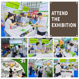 שמן תמצית זרעי אשחר ים בדרגת מאכל עם 99% פיטוסטרולים, מיכל צמחי מלאכותי - Product Image 5