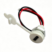 USB-C Anschluss 2-Pin Typ-C Buchse Wasserdichter Anschluss Weiblicher Ladeanschluss 3A USB-C Ladestecker für Lampe