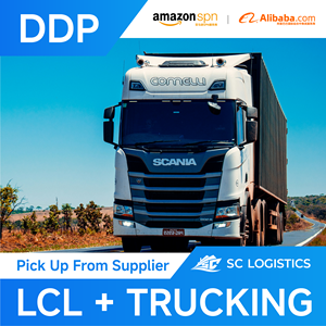 Frete marítimo agente Dropshipping envio da China para Singapura Canadá SG CA DDP porta a porta Serviços - Product Image 4