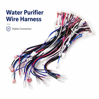 Harnais de câblage électrique personnalisé OEM ODM de haute qualité pour purificateur d'eau et appareils électroménagers